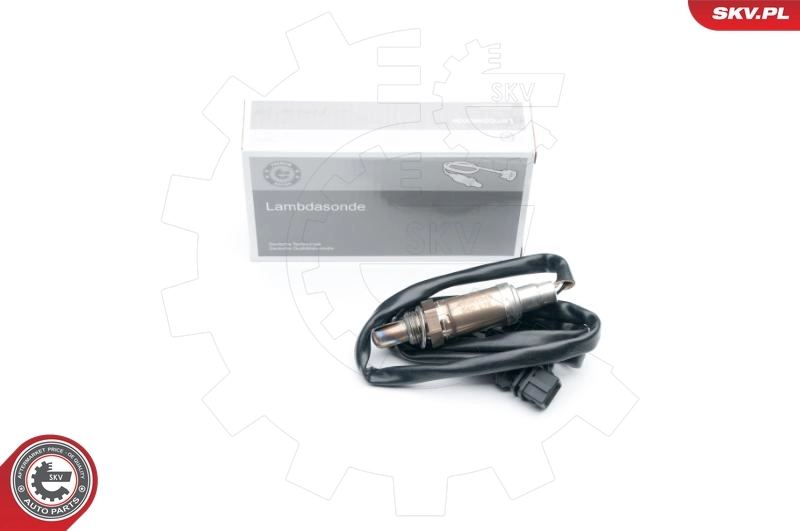 Oxygen Sensor
